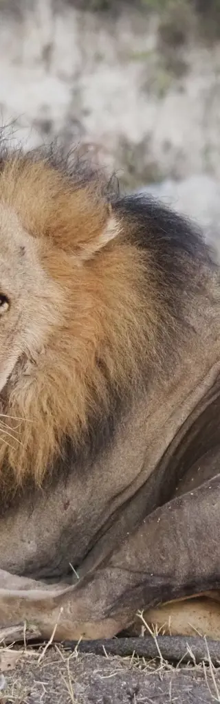 Abenteuerreise von Johannesburg in Südafrika nach Nairobi in Kenia